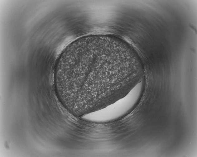 X0000099321459200805301205