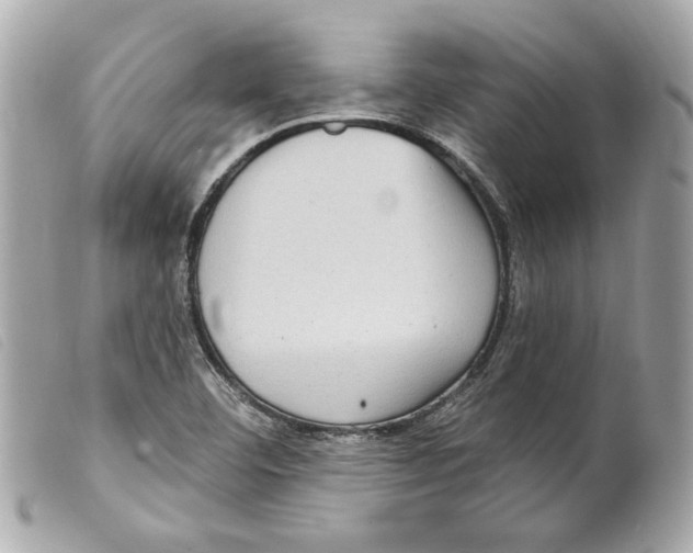 X0000099321460200805301205