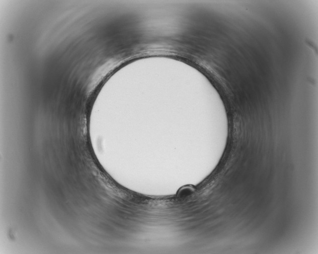 X0000099321461200805301205