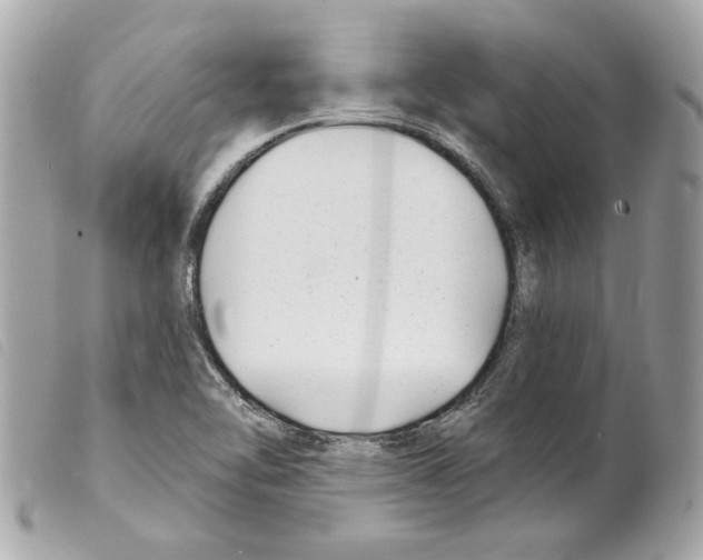 X0000099321462200805301205