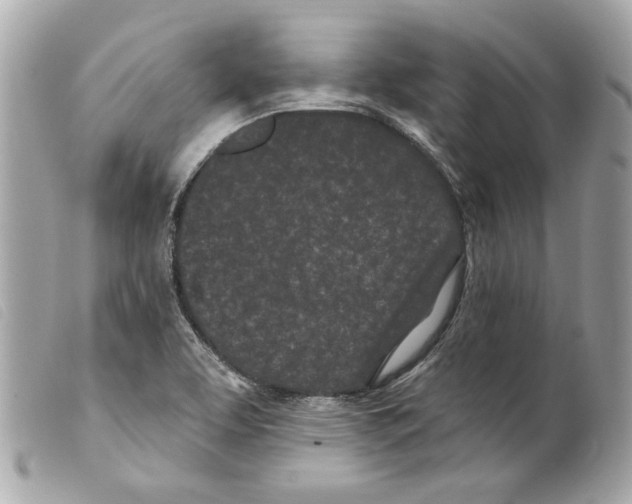 X0000099321463200805301205