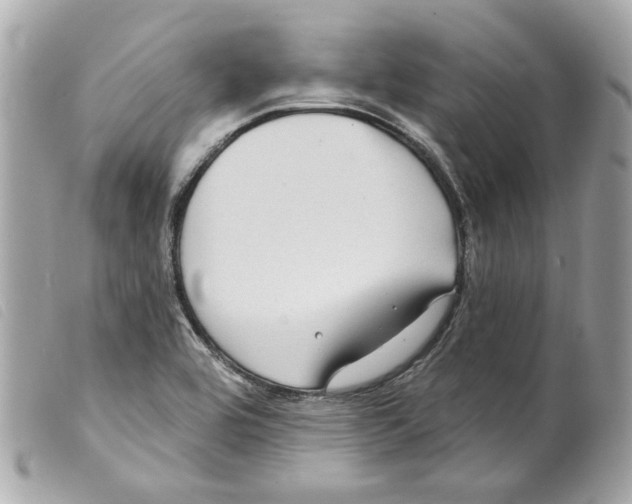 X0000099321464200805301205