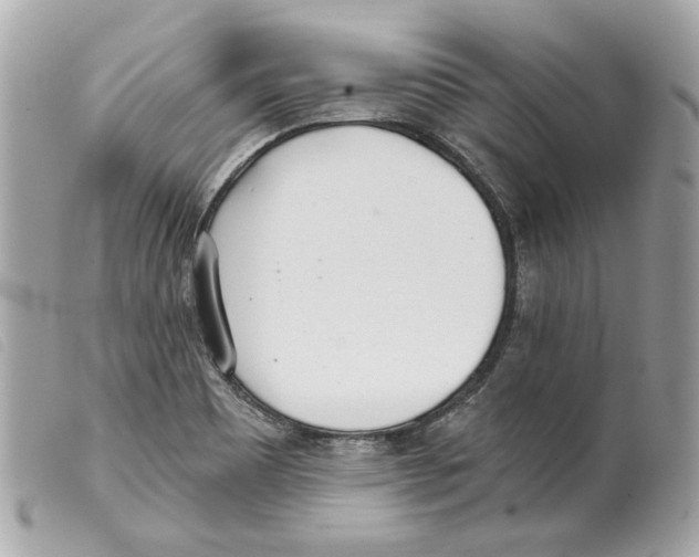 X0000099321465200805301205