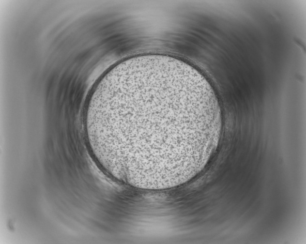 X0000099321466200805301205