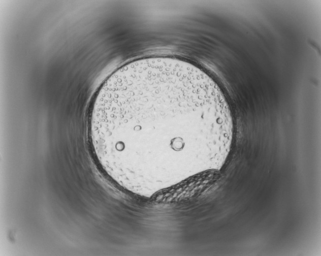 X0000099321467200805301205