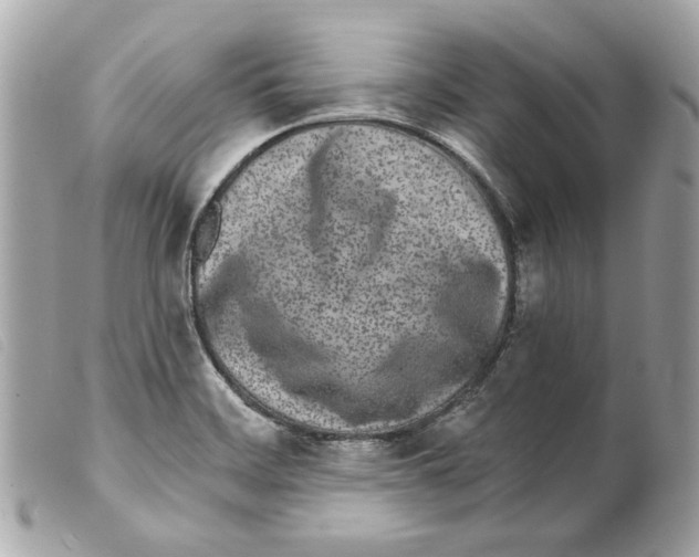 X0000099321468200805301205