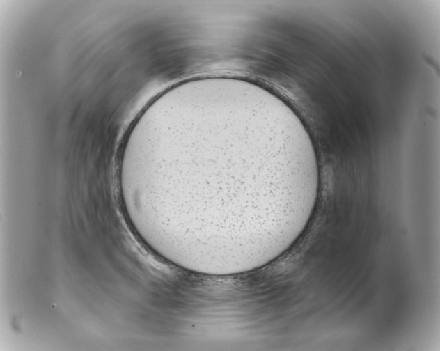 X0000099321470200805301205