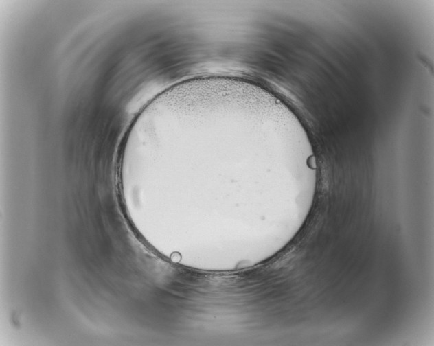 X0000099321471200805301205