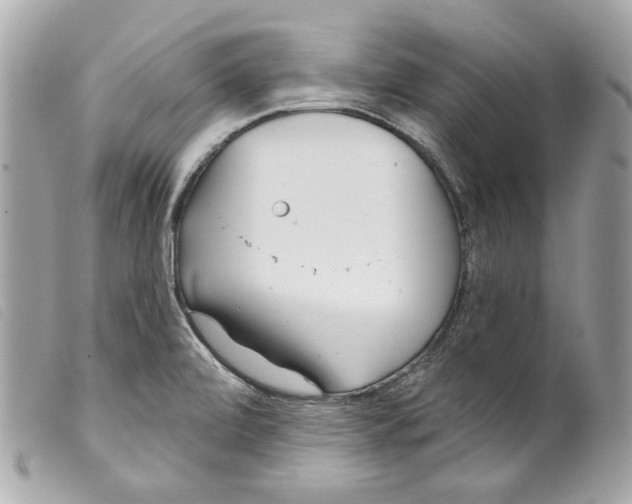 X0000099321472200805301205