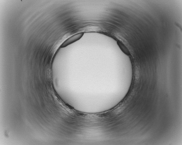 X0000099321473200805301205