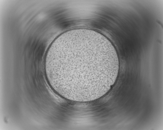 X0000099321474200805301205