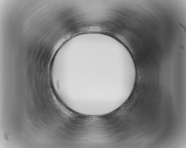 X0000099321475200805301205