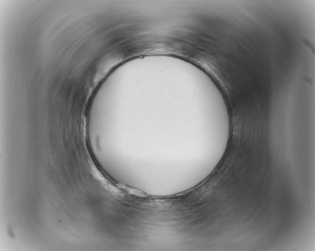 X0000099321476200805301205