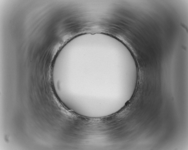 X0000099321477200805301205