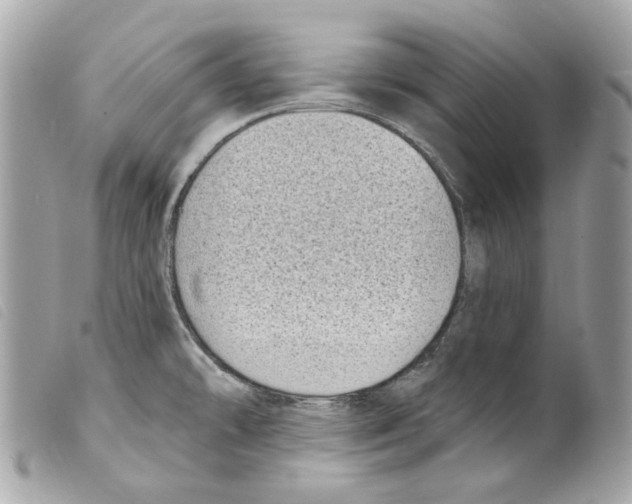 X0000099321478200805301205