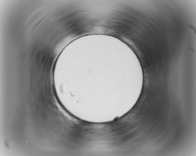 X0000099321479200805301205