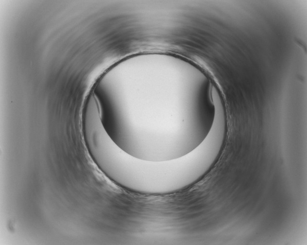 X0000099321480200805301205