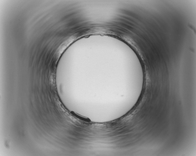 X0000099321481200805301205