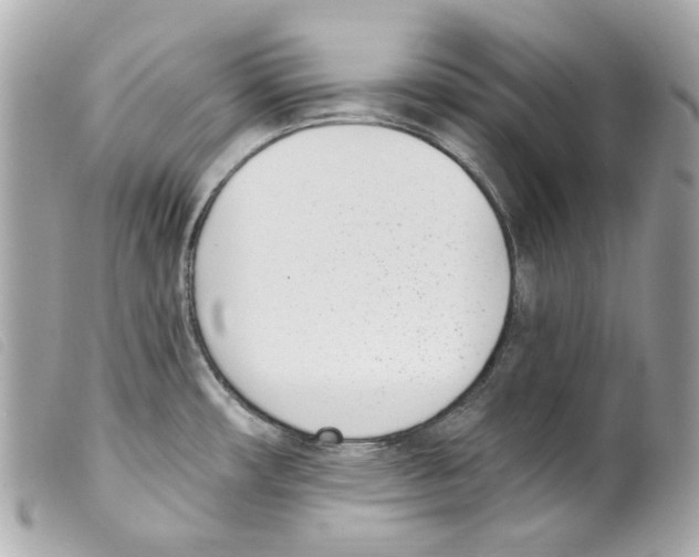 X0000099321482200805301205