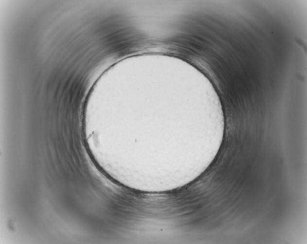 X0000099321483200805301205