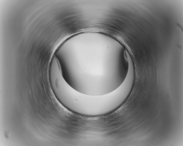 X0000099321484200805301205