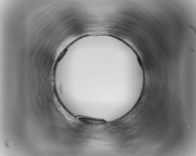 X0000099321485200805301205