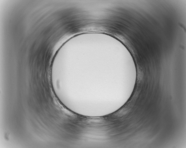 X0000099321486200805301205