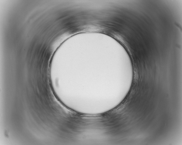 X0000099321487200805301205