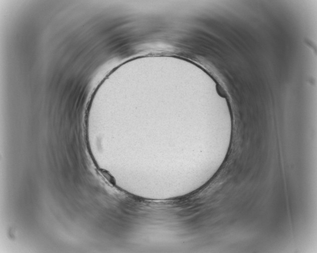 X0000099321488200805301205