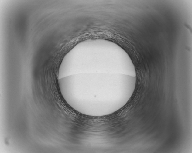 X0000099321489200805301204