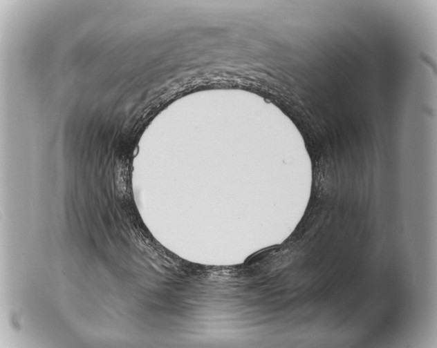 X0000099321490200805301204