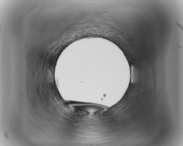 X0000099321491200805301204