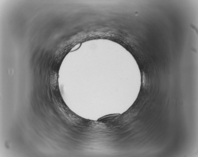 X0000099321492200805301204