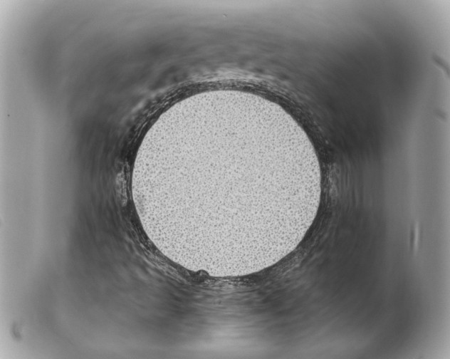 X0000099321493200805301204