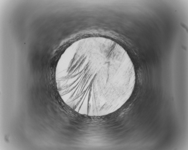 X0000099321494200805301204