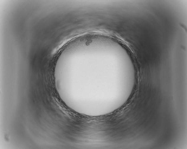 X0000099321496200805301204