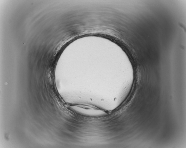 X0000099321497200805301204