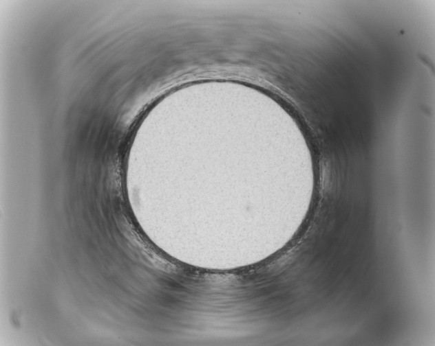 X0000099321498200805301204