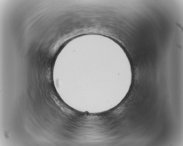 X0000099321499200805301204