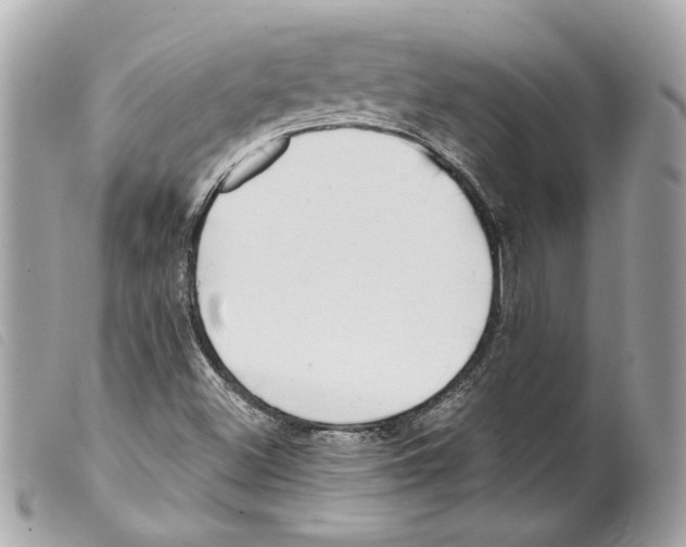 X0000099321500200805301204