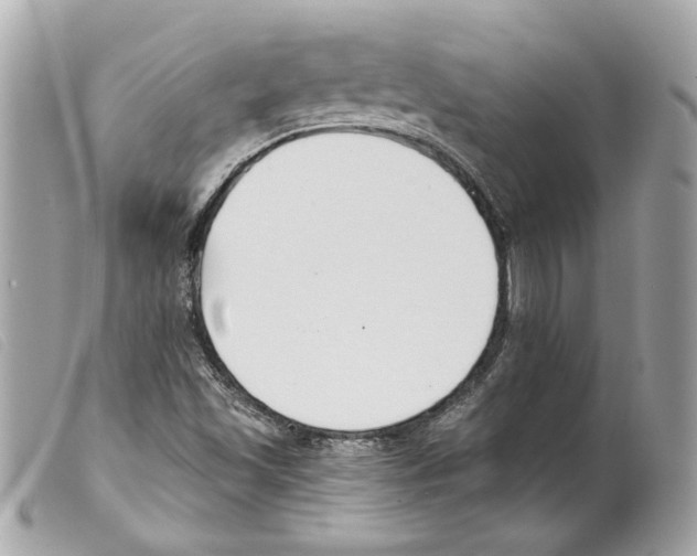 X0000099321501200805301204