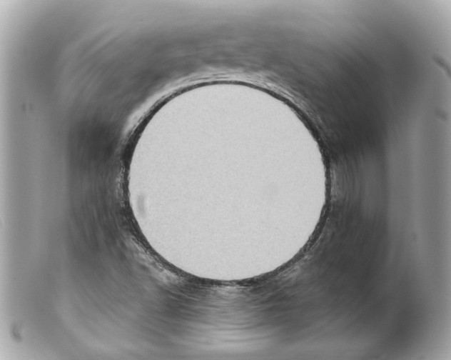 X0000099321502200805301204