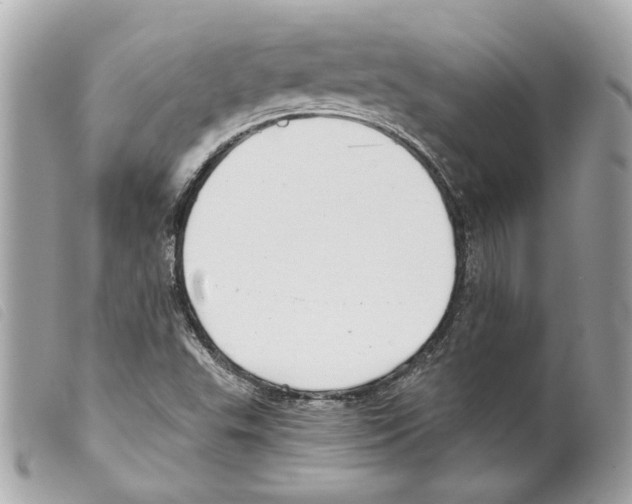 X0000099321503200805301204