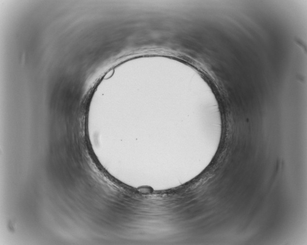 X0000099321504200805301204