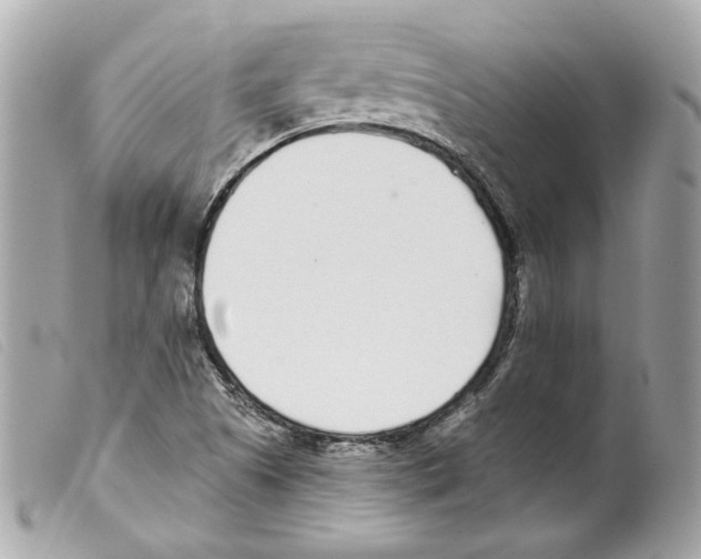 X0000099321505200805301204