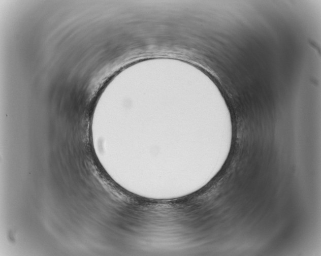 X0000099321507200805301204