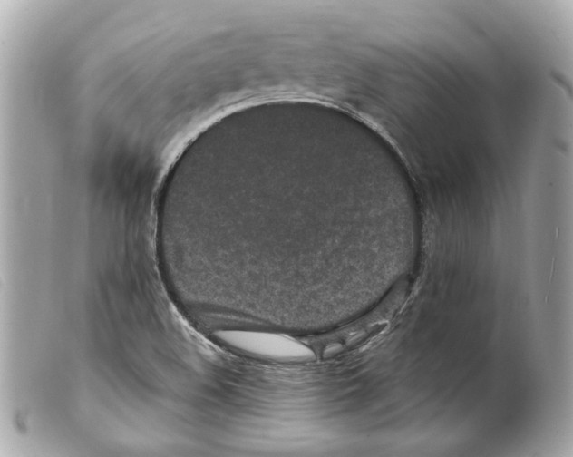 X0000099321508200805301204