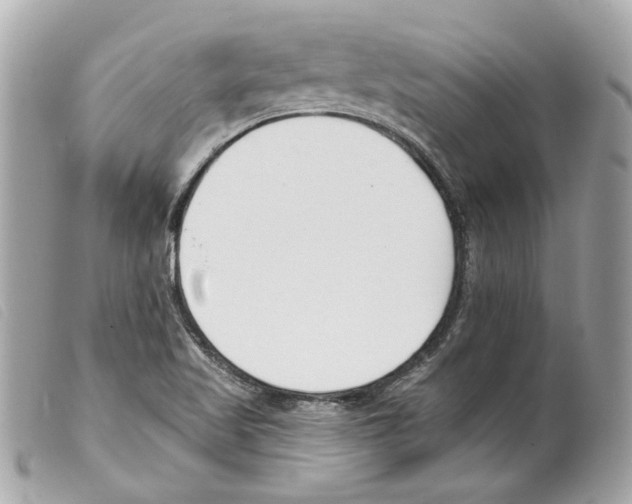 X0000099321509200805301204