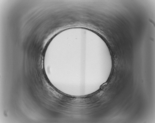 X0000099321510200805301204