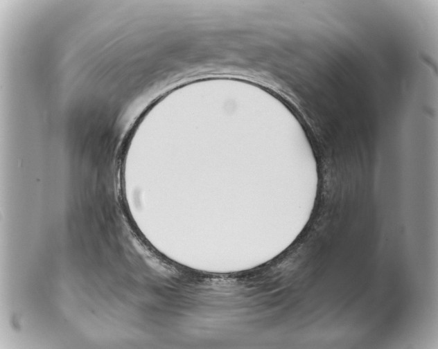 X0000099321511200805301204